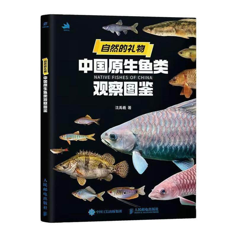 自然的礼物—中国原生鱼类观察图鉴