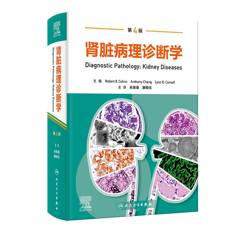 肾脏病理诊断学