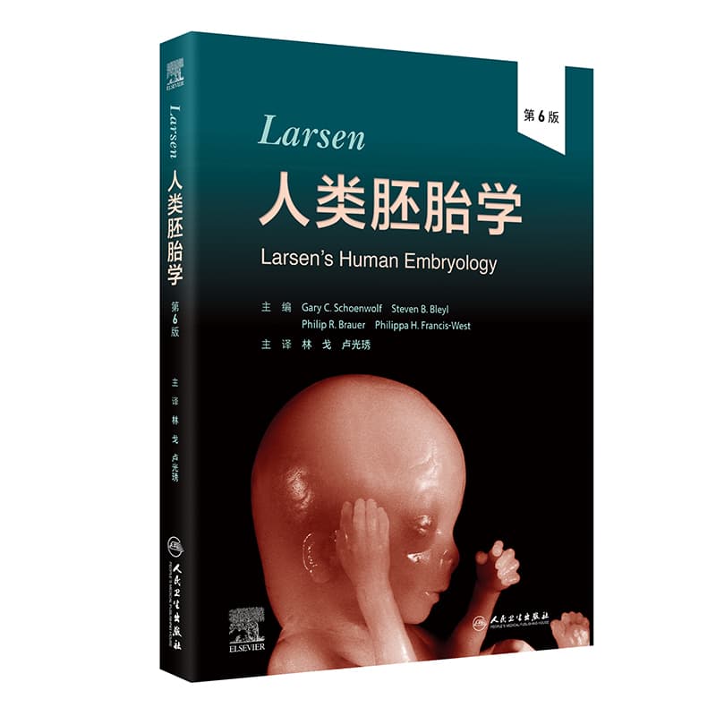 Larsen人类胚胎学