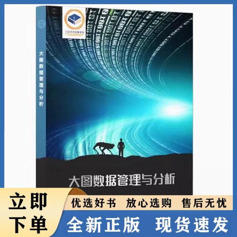 大图数据管理与分析