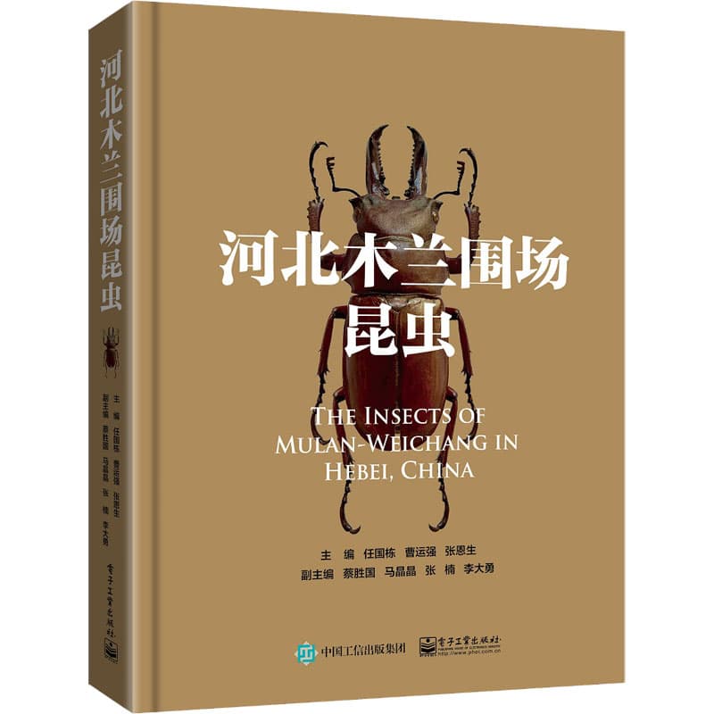 河北木兰围场昆虫