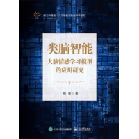 类脑智能—大脑情感学习模型的应用研究