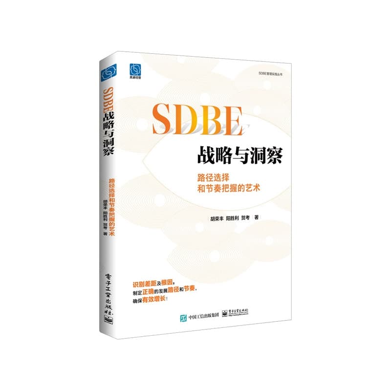 SDBE战略与洞察—路径选择和节奏把握的艺术