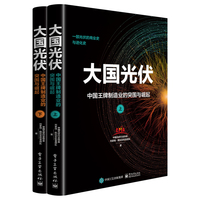 大国光伏—中国王牌制造业的突围与崛起