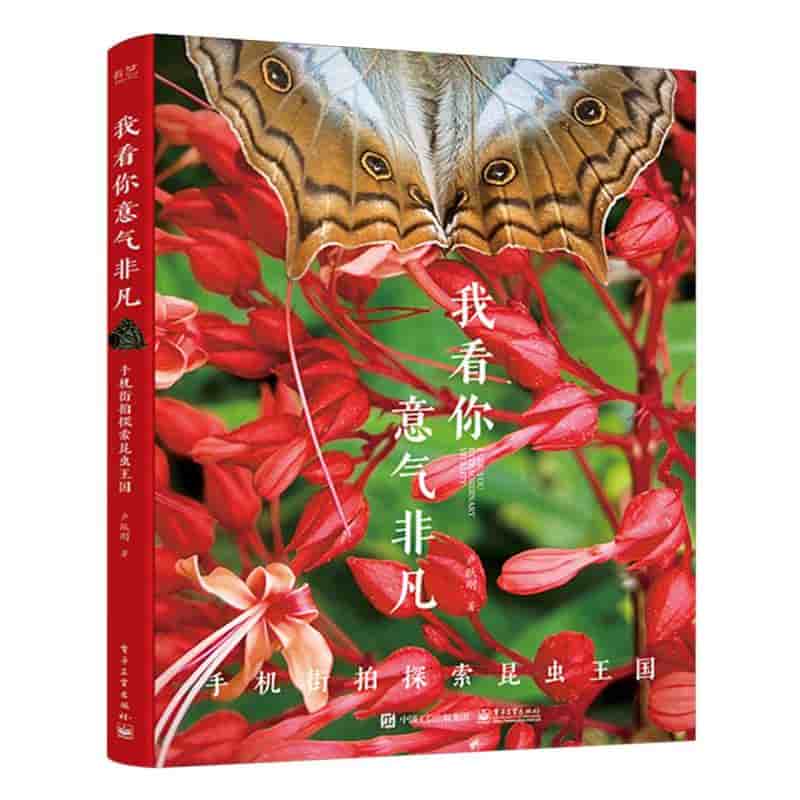 我看你意气非凡—手机街拍探索昆虫王国