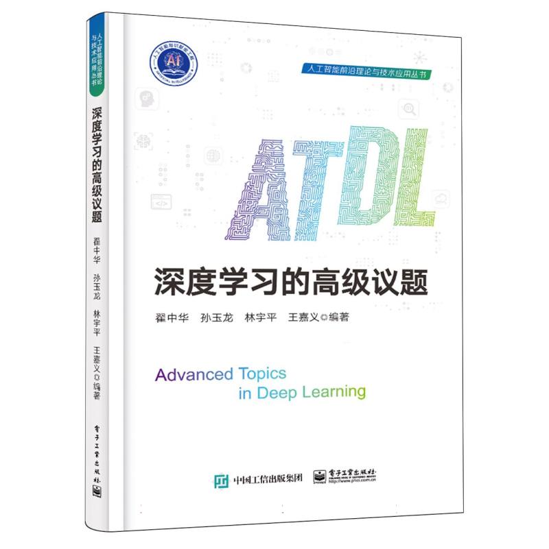 深度学习的高级议题