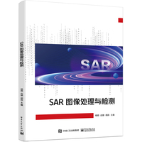 SAR图像处理与检测
