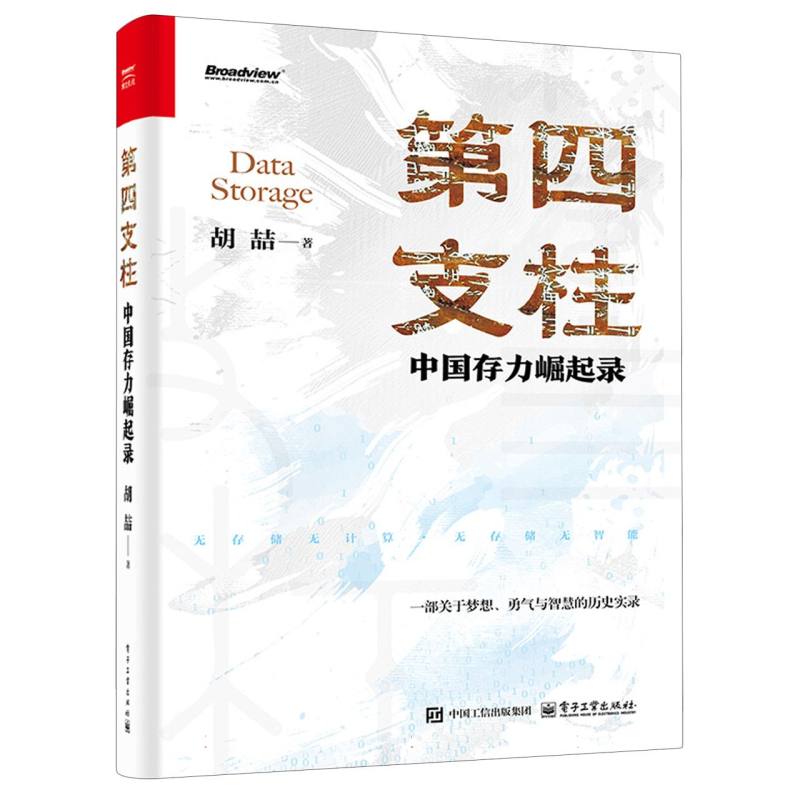 第四支柱：中国存力崛起录