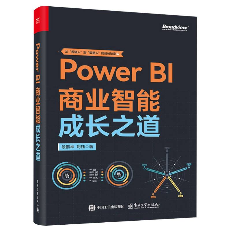 Power BI商业智能成长之道