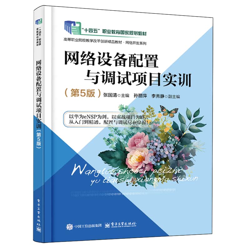 网络设备配置与调试项目实训