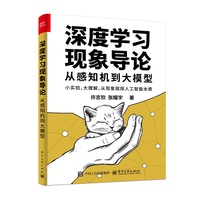 深度学习现象导论—从感知机到大模型