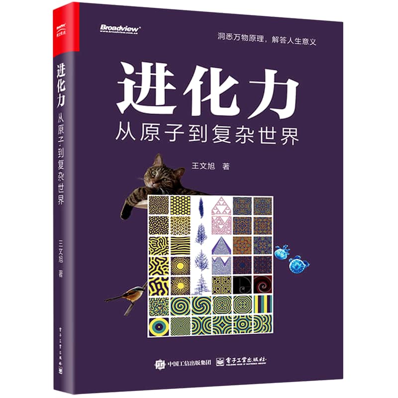 进化力—从原子到复杂世界