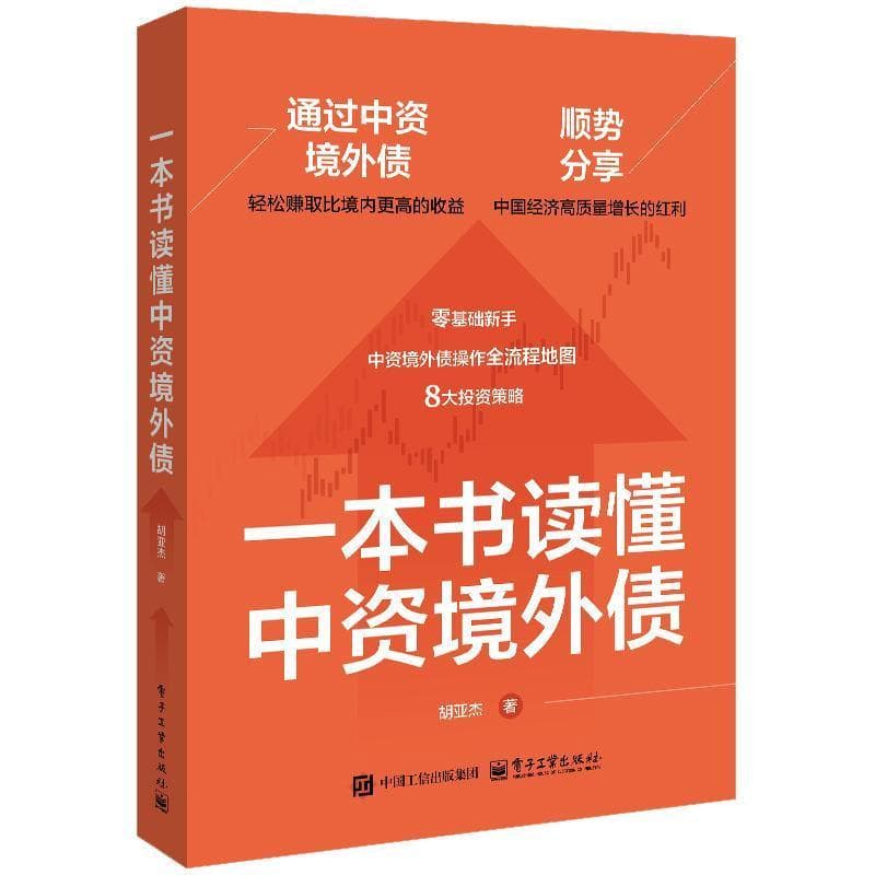 一本书读懂中资境外债