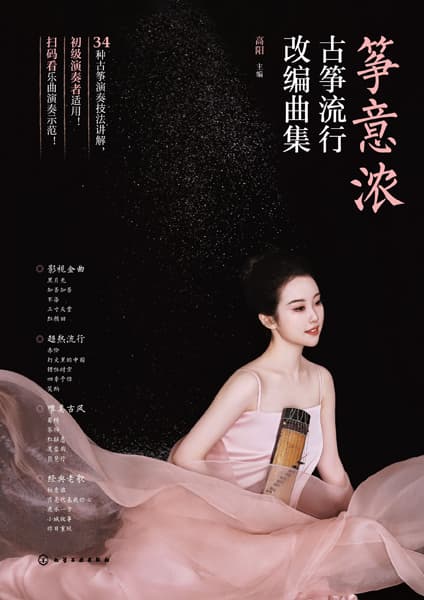 筝意浓—古筝流行改编曲集