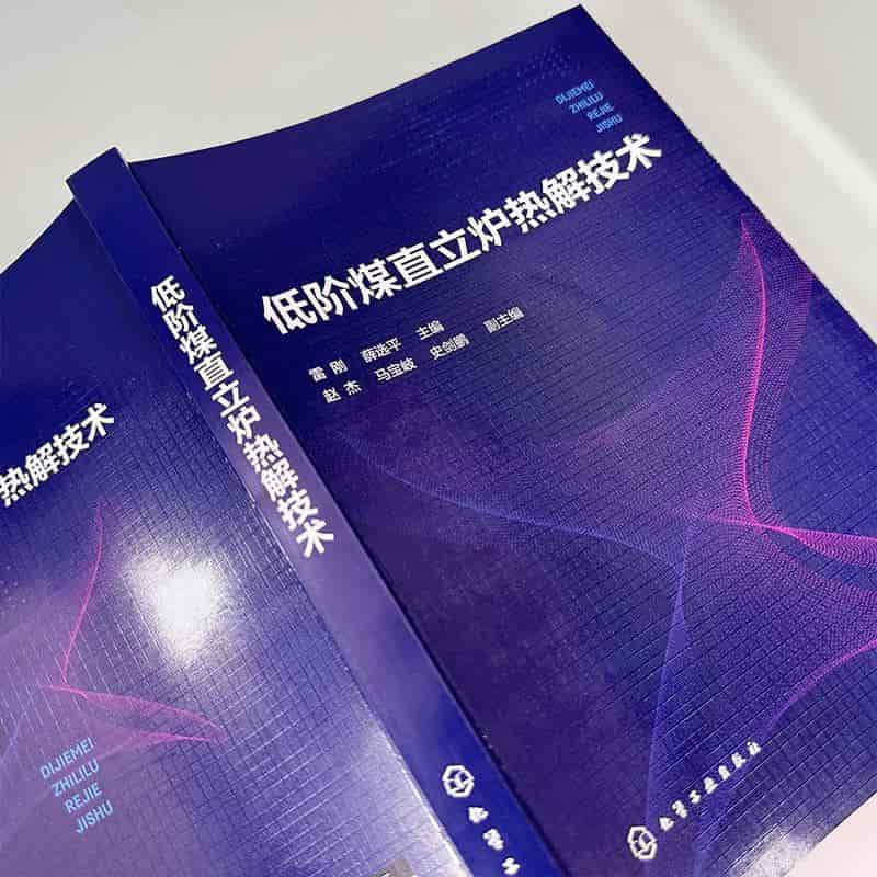 低阶煤直立炉热解技术
