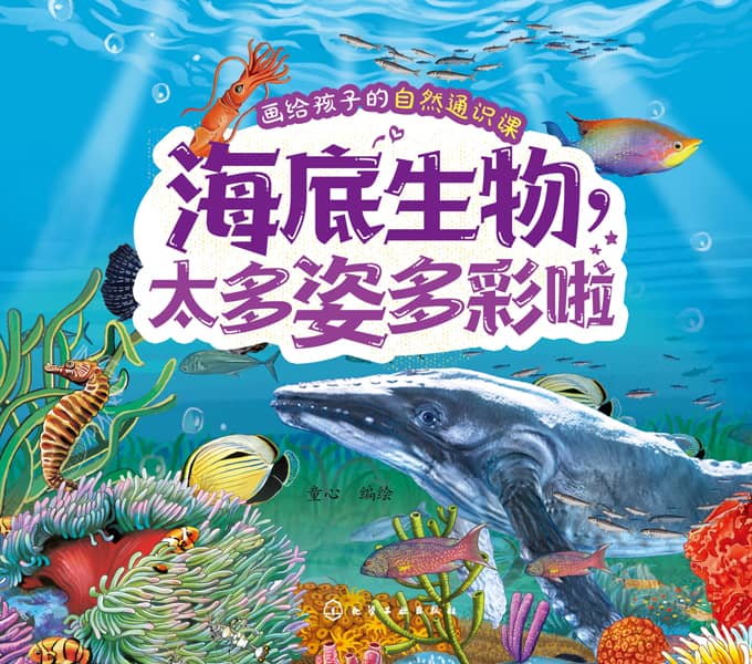 海底生物，太多姿多彩啦