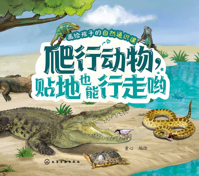 爬行动物，贴地也能行走哟