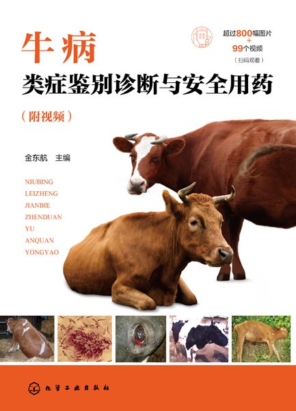 牛病类症鉴别诊断与安全用药—附视频: