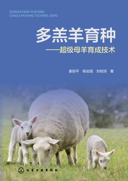 多羔羊育种—超级母羊育成技术