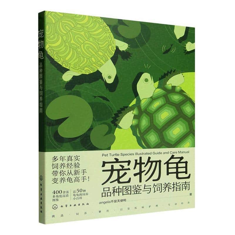 宠物龟品种图鉴与饲养指南