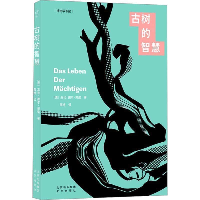 古树的智慧