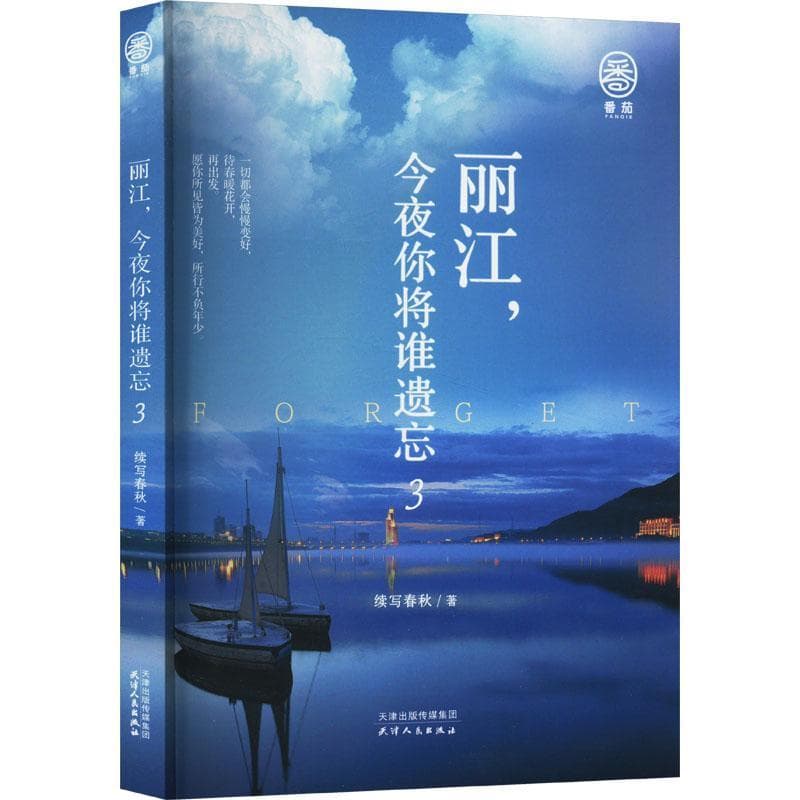 丽江，今夜你将谁遗忘(3)