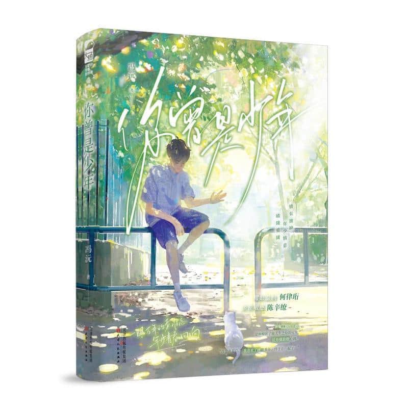 你曾是少年