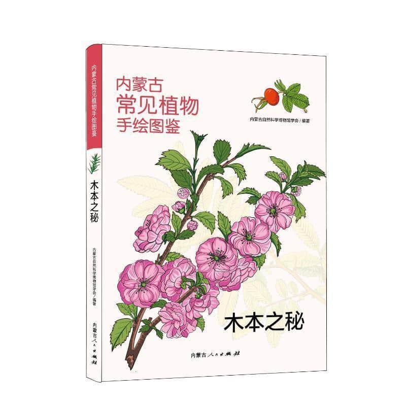 内蒙古常见植物手绘图鉴:木本之秘