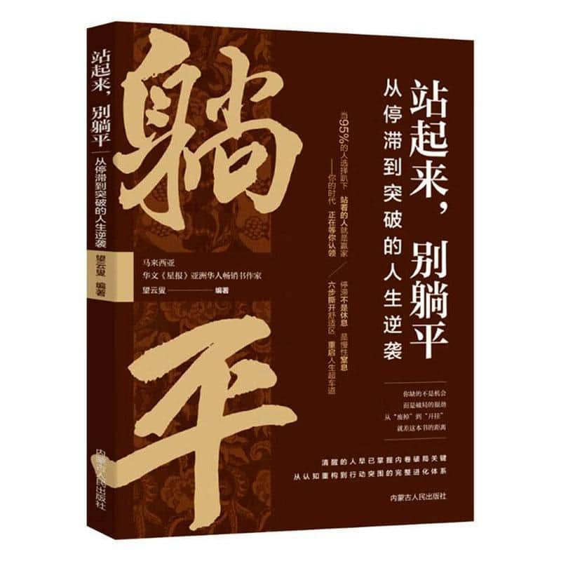 站起来，别躺平—从停滞到突破的人生逆袭: