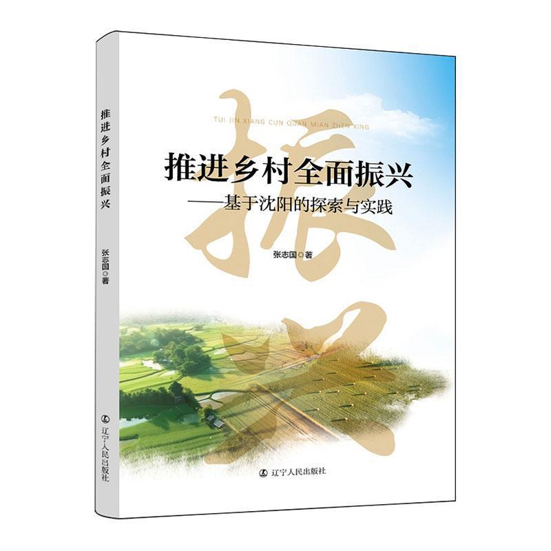 推进乡村全面振兴—基于沈阳的探索与实践: