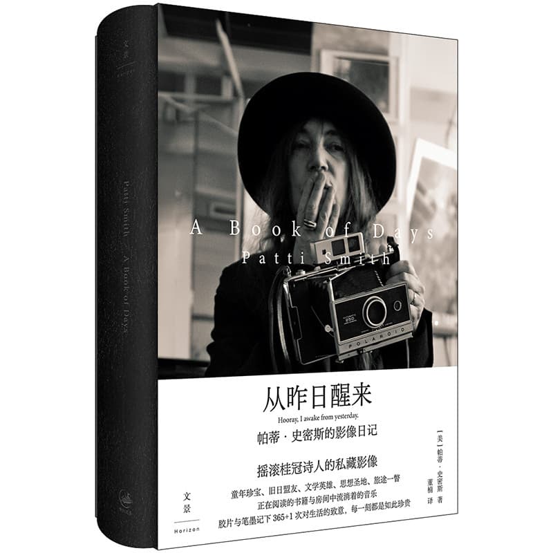 从昨日醒来—帕蒂·史密斯的影像日记