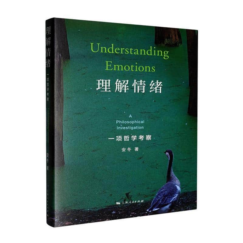 理解情绪—一项哲学考察—a philosophical investigation