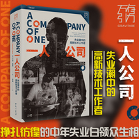 一人公司：失业潮中的高新技术工作者
