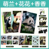熊猫香香