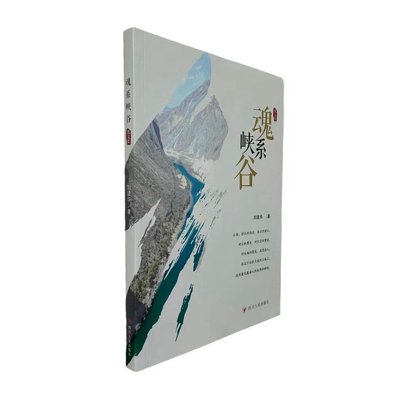 魂系峡谷