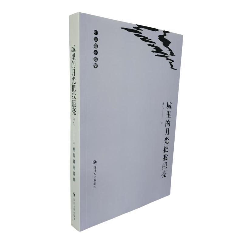 城里的月光把我照亮