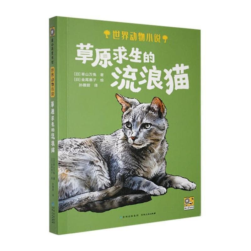 草原求生的流浪猫