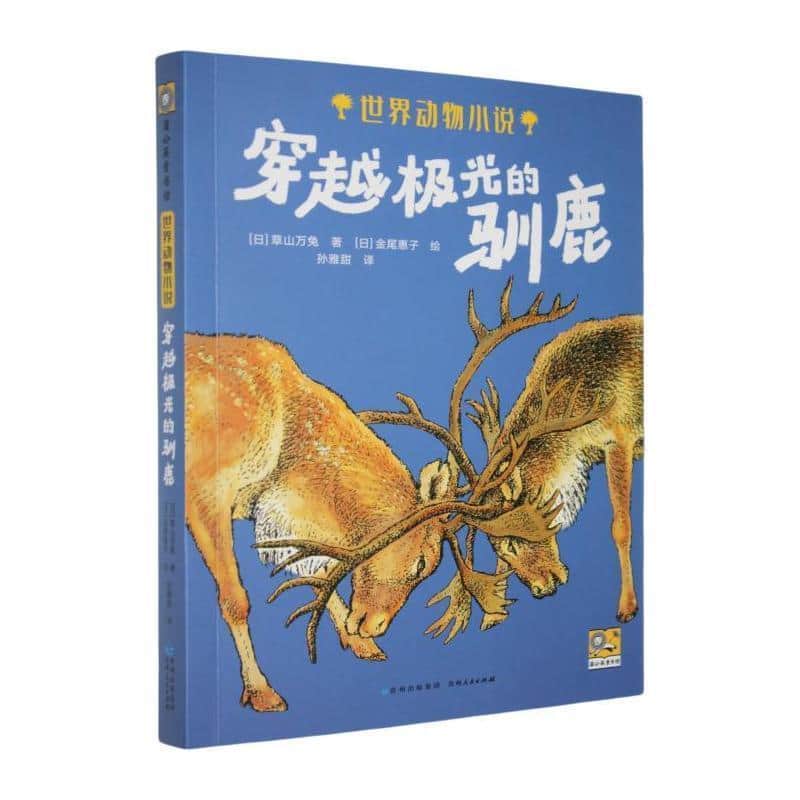 穿越极光的驯鹿