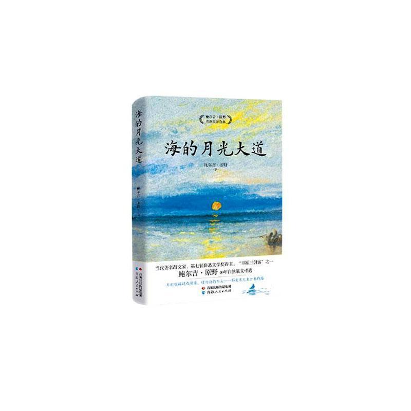 海的月光大道