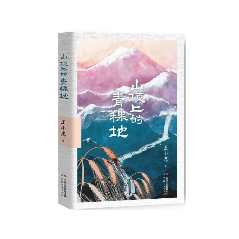 山顶上的青稞地