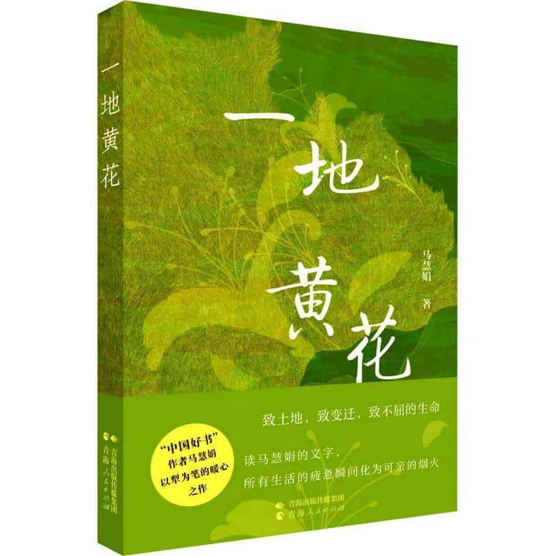 一地黄花