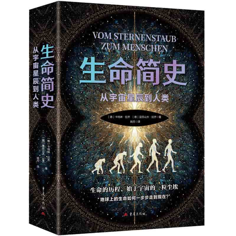 生命简史—从宇宙星辰到人类