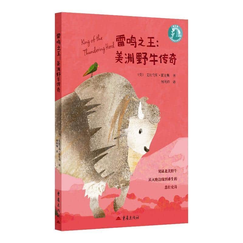雷鸣之王—美洲野牛传奇