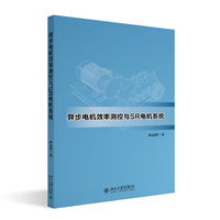异步电机效率测控与SR电机系统