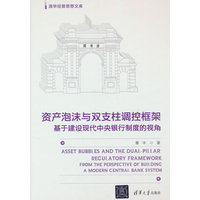资产泡沫与双支柱调控框架—基于建设现代中央银行制度的视角—from the perspective of building a modern central bank system