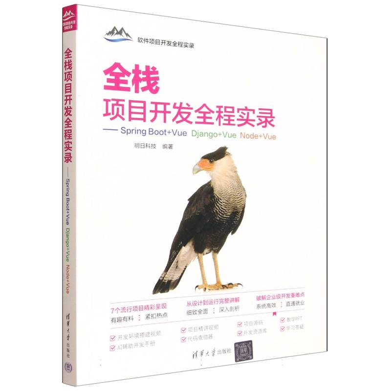 全栈项目开发全程实录—Spring Boot+Vue Django+Vue Node+Vue