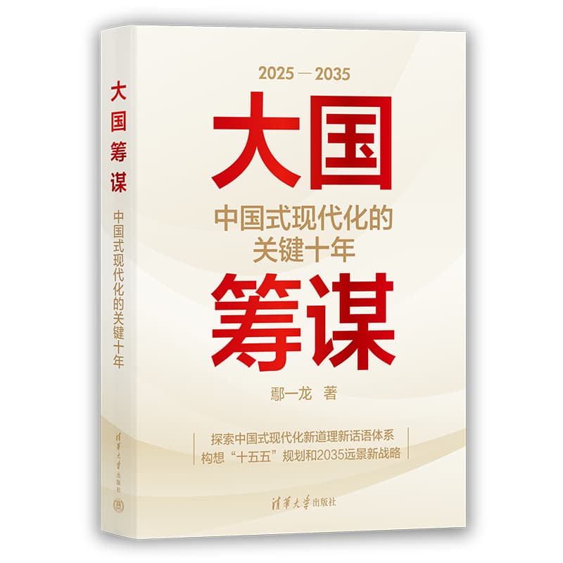 大国筹谋—中国式现代化的关键十年