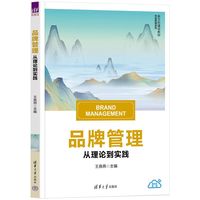 品牌管理—从理论到实践