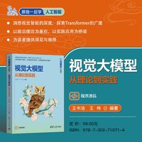视觉大模型—从理论到实践