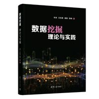 数据挖掘—理论与实践